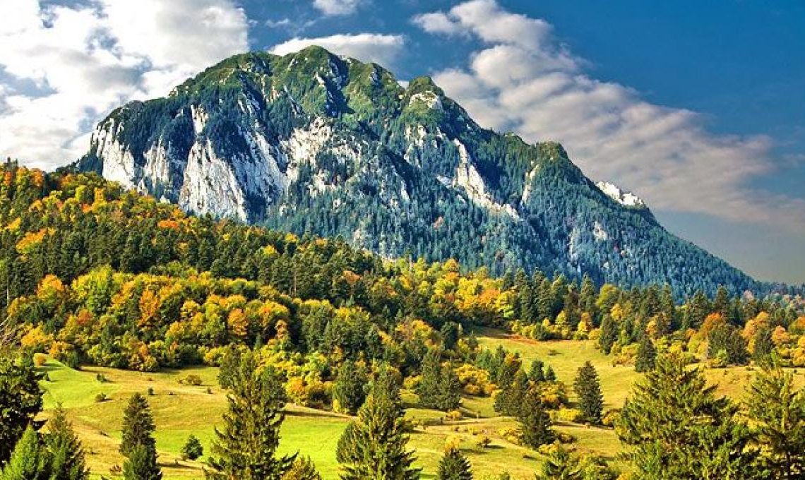 Parcuri Naturale Sălbatice